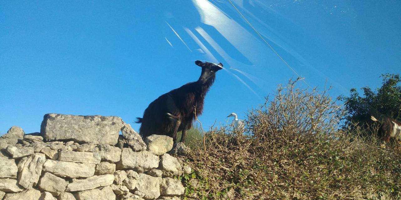 "La Casina Del Forno Con Piscina Fra Catania E Siracusa " Carlentini Eksteriør billede